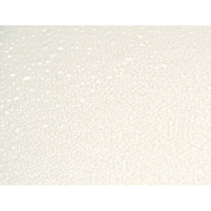 Tappeto acqua trasparente 28x55 cm plastica