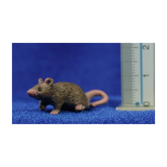 Rata 3,5 cm plástico