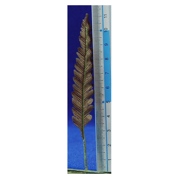12 fulles palmera fosca 9 cm plàstic
