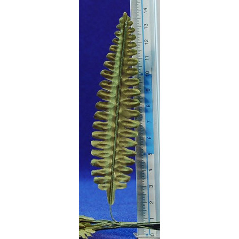 12 palm leaf light 11 cm plastic