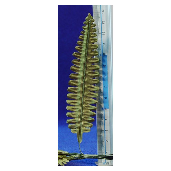12 palm leaf light 11 cm plastic