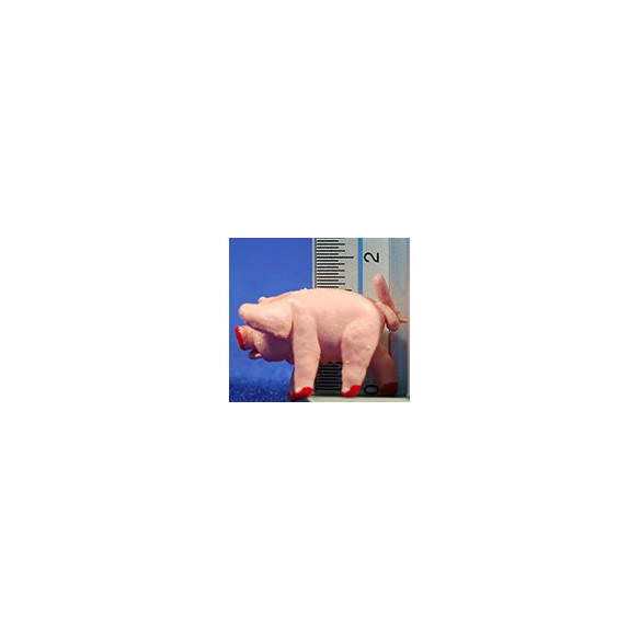 Cerdo 4 cm plástico