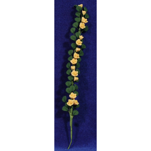 Creeper yellow flowers 21 cm plastic