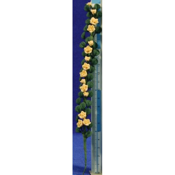 Creeper yellow flowers 21 cm plastic