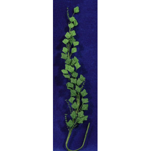 Enredadera vinya verd fosc 21 cm plàstic