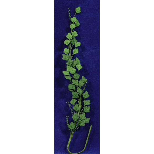 Pianta rampicante vigna verde oscuro 21 cm plastica