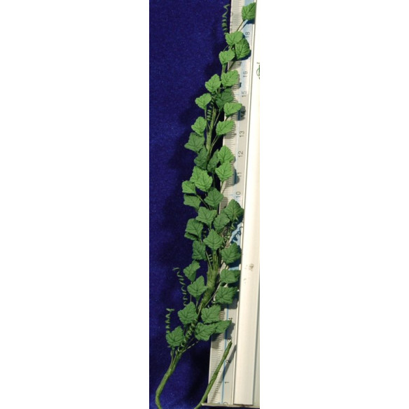 Pianta rampicante vigna verde oscuro 21 cm plastica