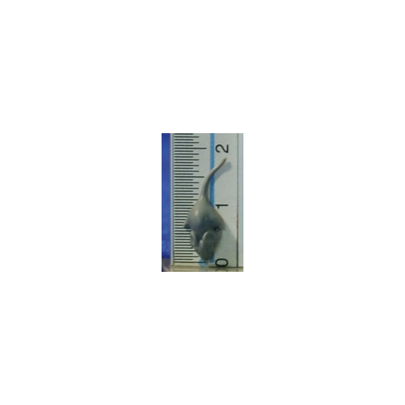 Topo con coda 1,8 cm plastica