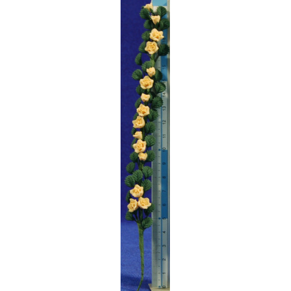 Creeper yellow flowers 21 cm plastic