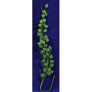 Enredadera vinya verd fosc 21 cm plàstic