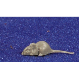 Topo con coda 1,8 cm plastica