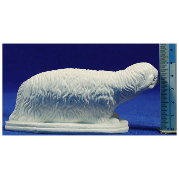 Xai estirat sense pintar 22-26 cm guix