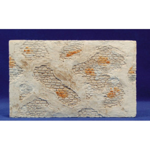 Paret pedres 25x15 guix