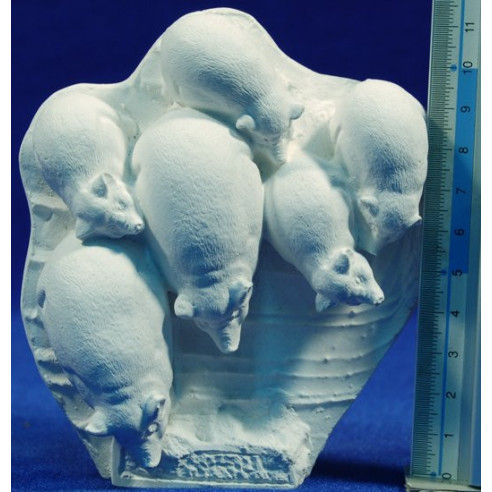 Non painted pig group M2 4 cm chalk