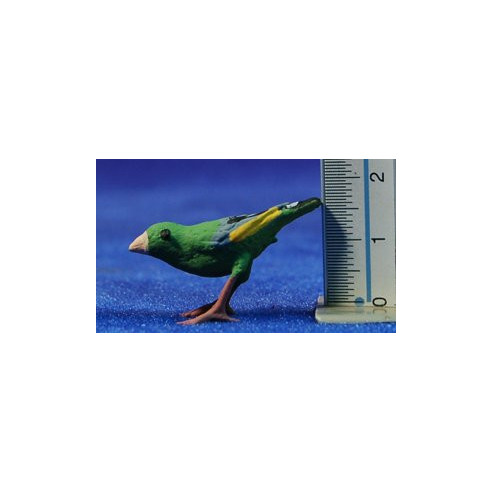 Bird 20 cm plomb
