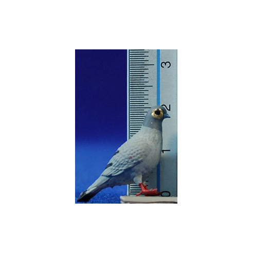 Pigeon 10-12 cm resin