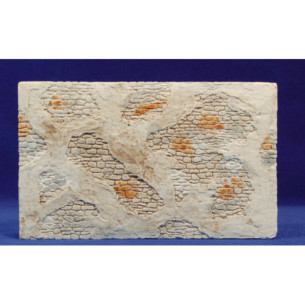 Paret pedres 25x15 guix