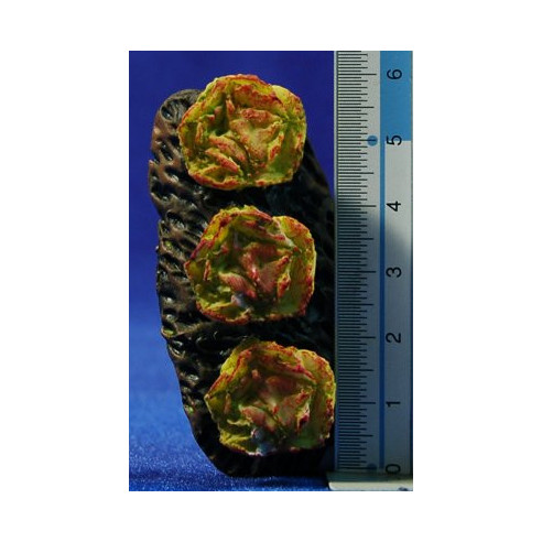 Campo lechuga hoja de roble 7 cm resina
