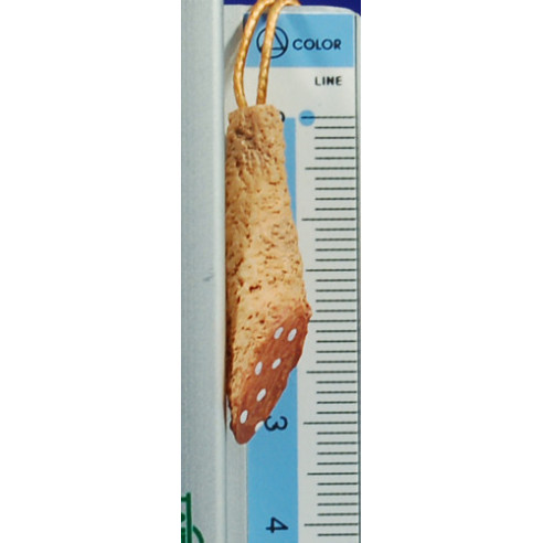 Longaniza 3 cm resina