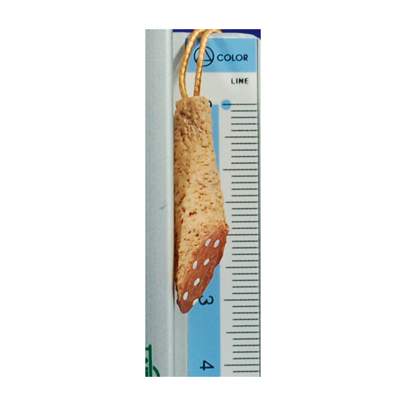 Longaniza 3 cm resina