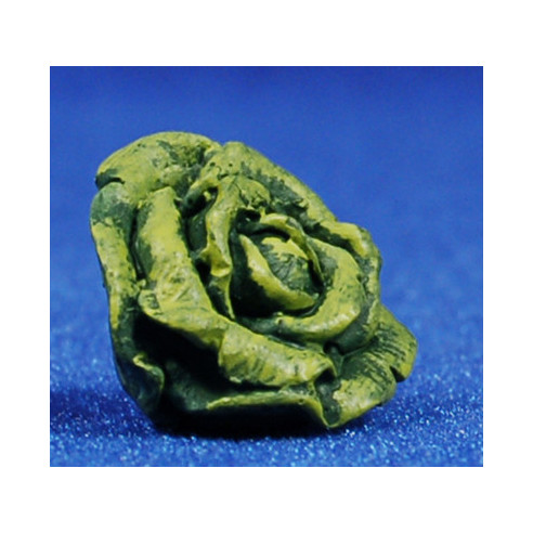 Lechuga 2 cm resina