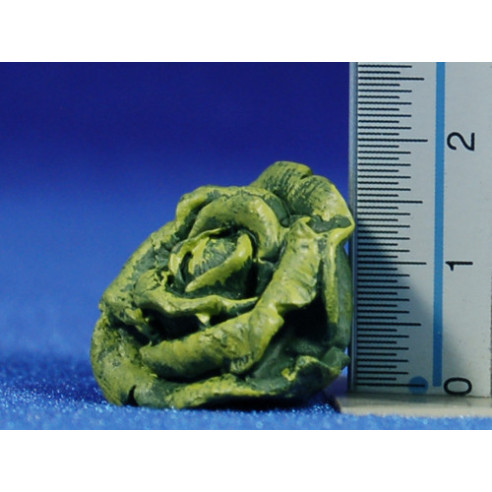 Lechuga 2 cm resina