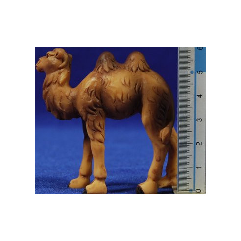 Camell 5 cm resina