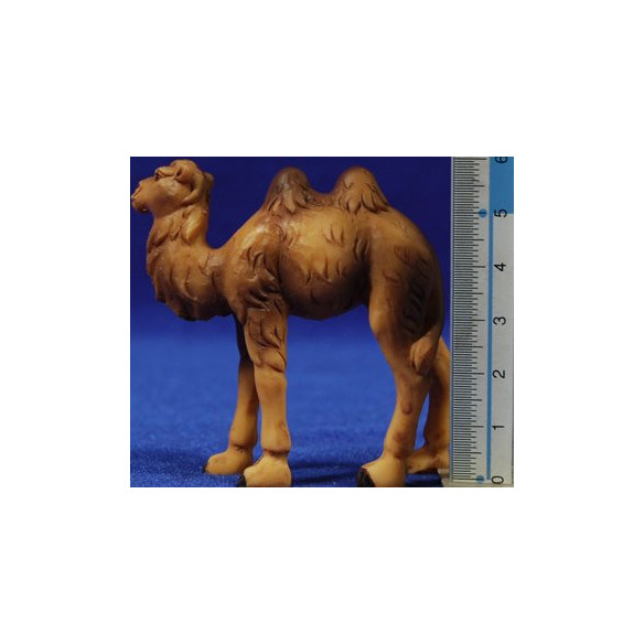 Camell 5 cm resina