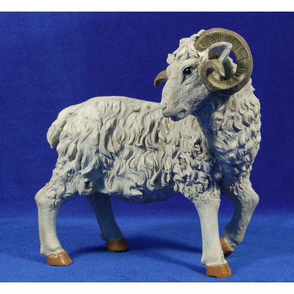 Boc 50 cm resina
