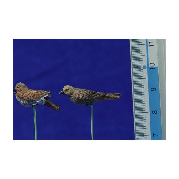 Ocell 2 cm resina