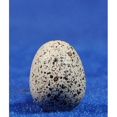 Egg 1,5 cm resin