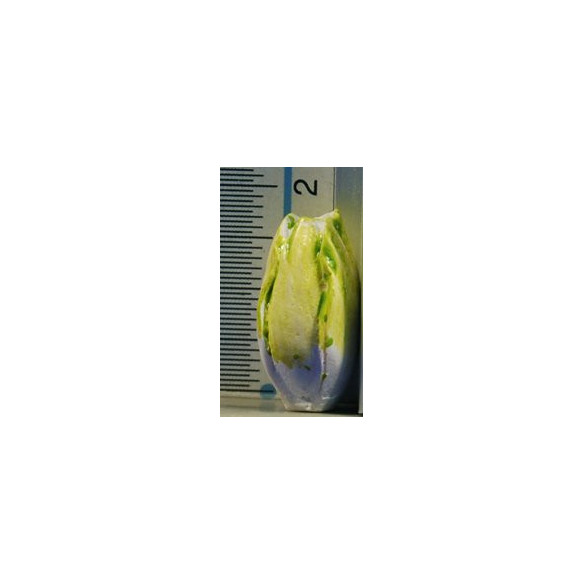 Large lettuce 1,8 cm resin