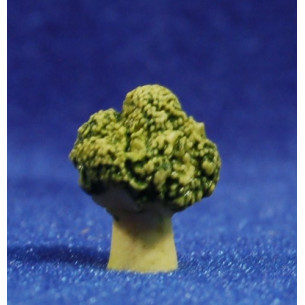 Bròquil 1,5 cm resina