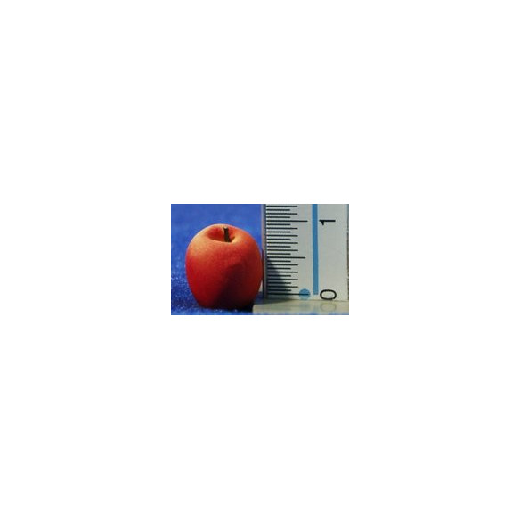 Manzana roja 1 cm resina