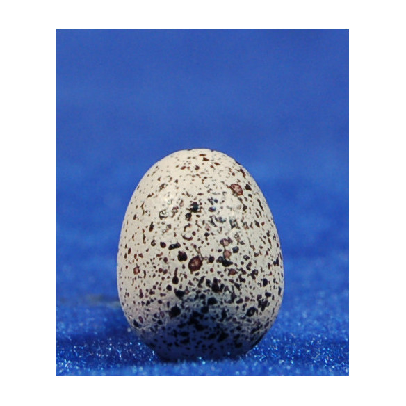 Huevo 1,5 cm resina
