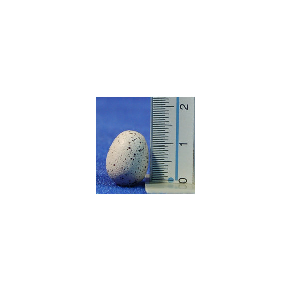 Huevo 1,5 cm resina