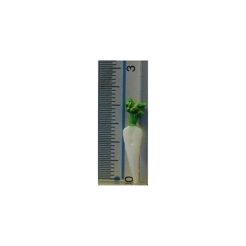 Ravanello bianco 2,3 cm resina