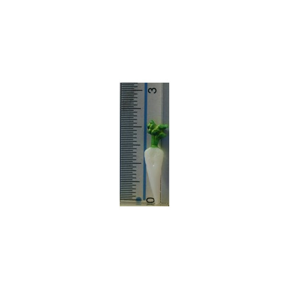 Rábano blanco 2,3 cm resina