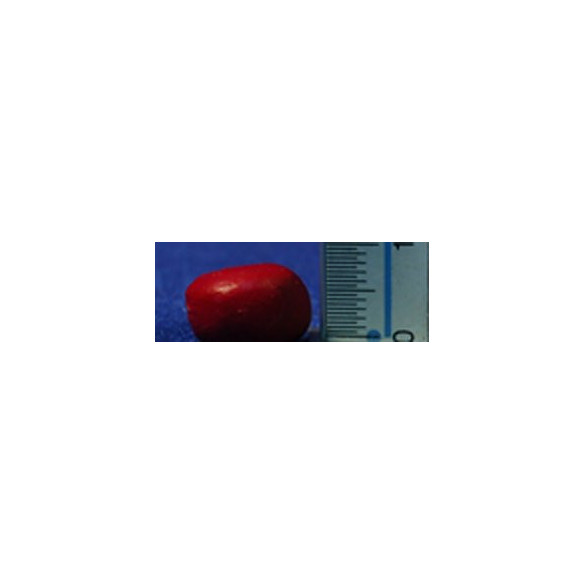 Formatge bola amb tall 1,5 cm resina