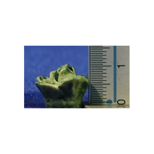 Lettuce 1,5 cm resin
