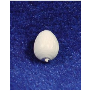 Ou 0,8 cm resina