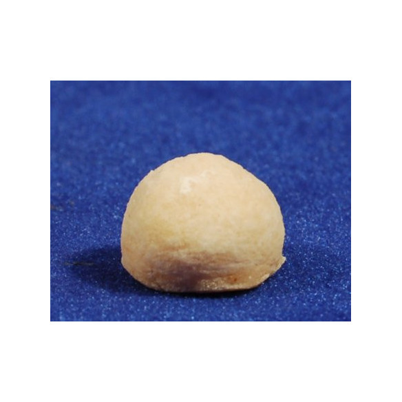 pane rotondo 2 cm resina
