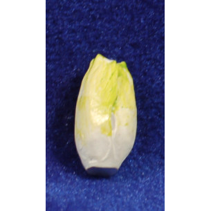 Lechuga larga 1,8 cm resina
