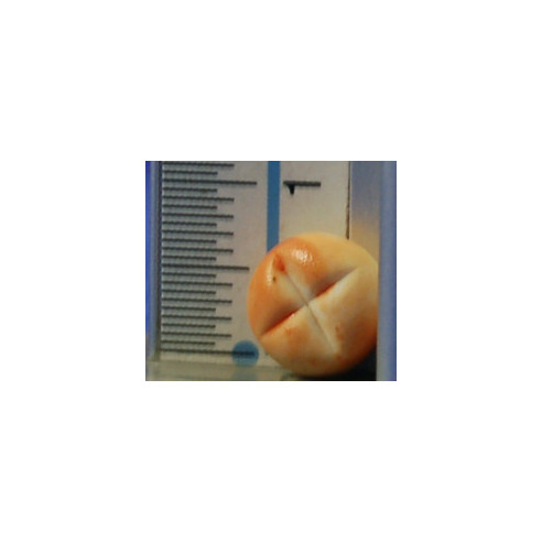 Little bread 0,8 cm resin