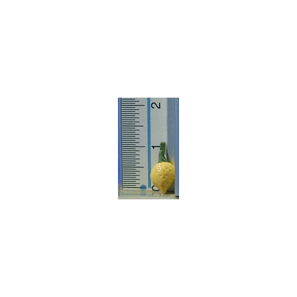 Limone con stelo 1 cm resina