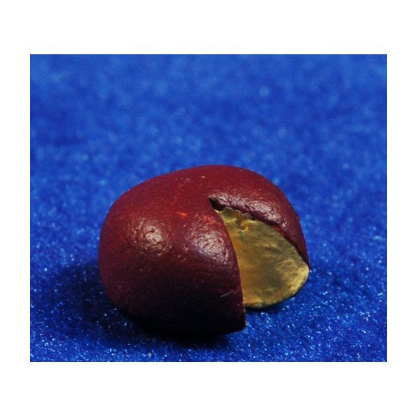 Cheese 1,5 cm resin