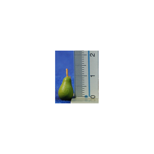 Pera verde con stelo 1,4 cm resina
