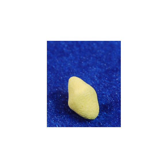 Limone 1 cm resina