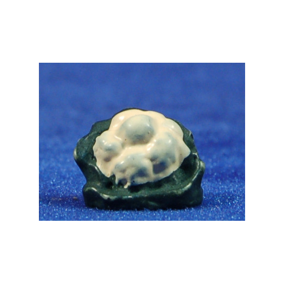 Cauliflower 1,5 cm resin