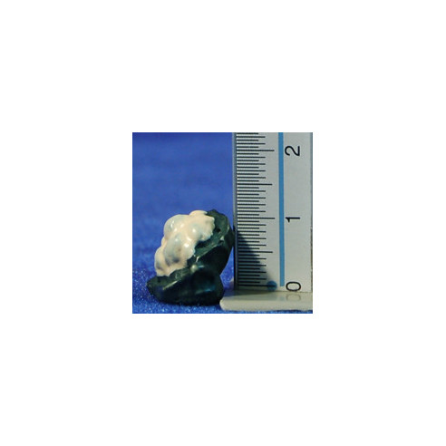 Cauliflower 1,5 cm resin